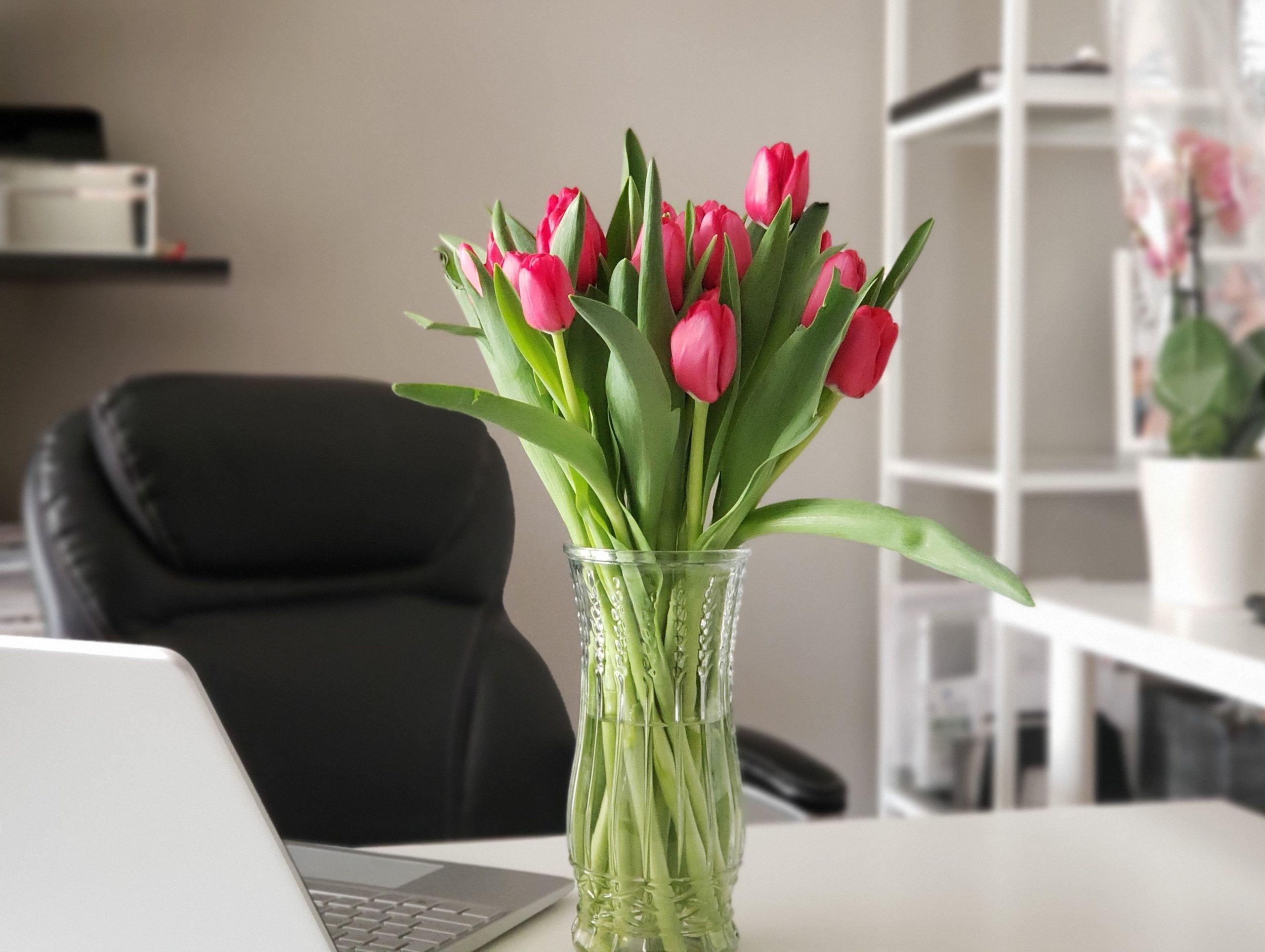 3 Ways to Get Your Office Ready for Spring